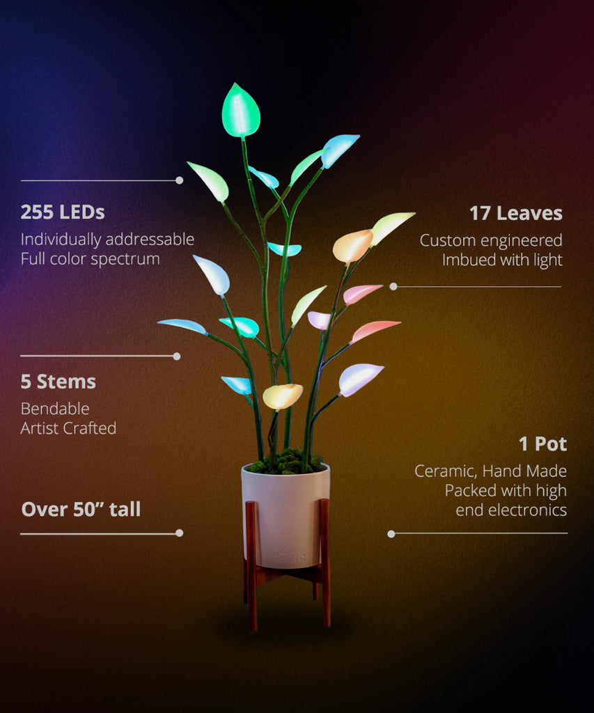 There are 135 individually addressable, full color spectrum LEDs inside each Fluora. 9 LED leaves, 3 handcrafted stems, and 1 high quality ceramic pot.