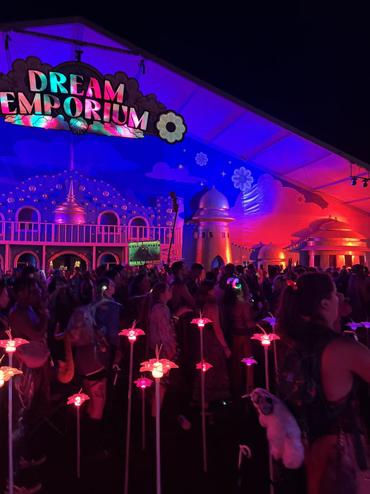 Music Festivals are the Inspiration