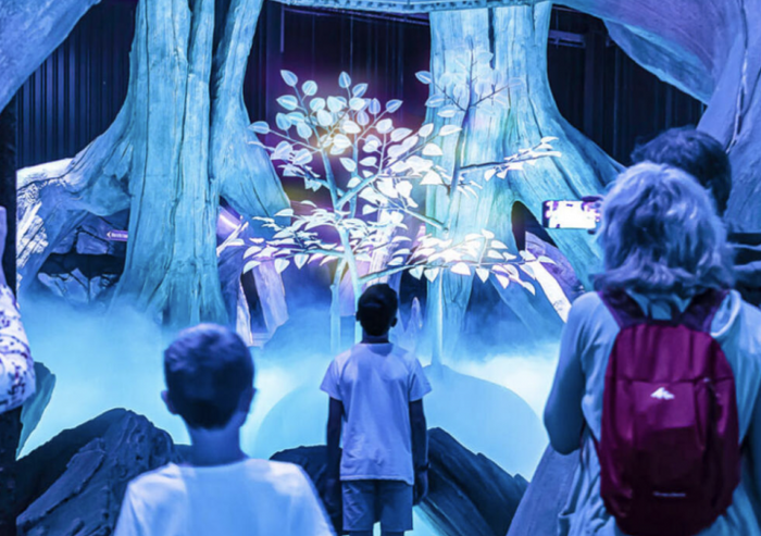 Designing the Monos Experience