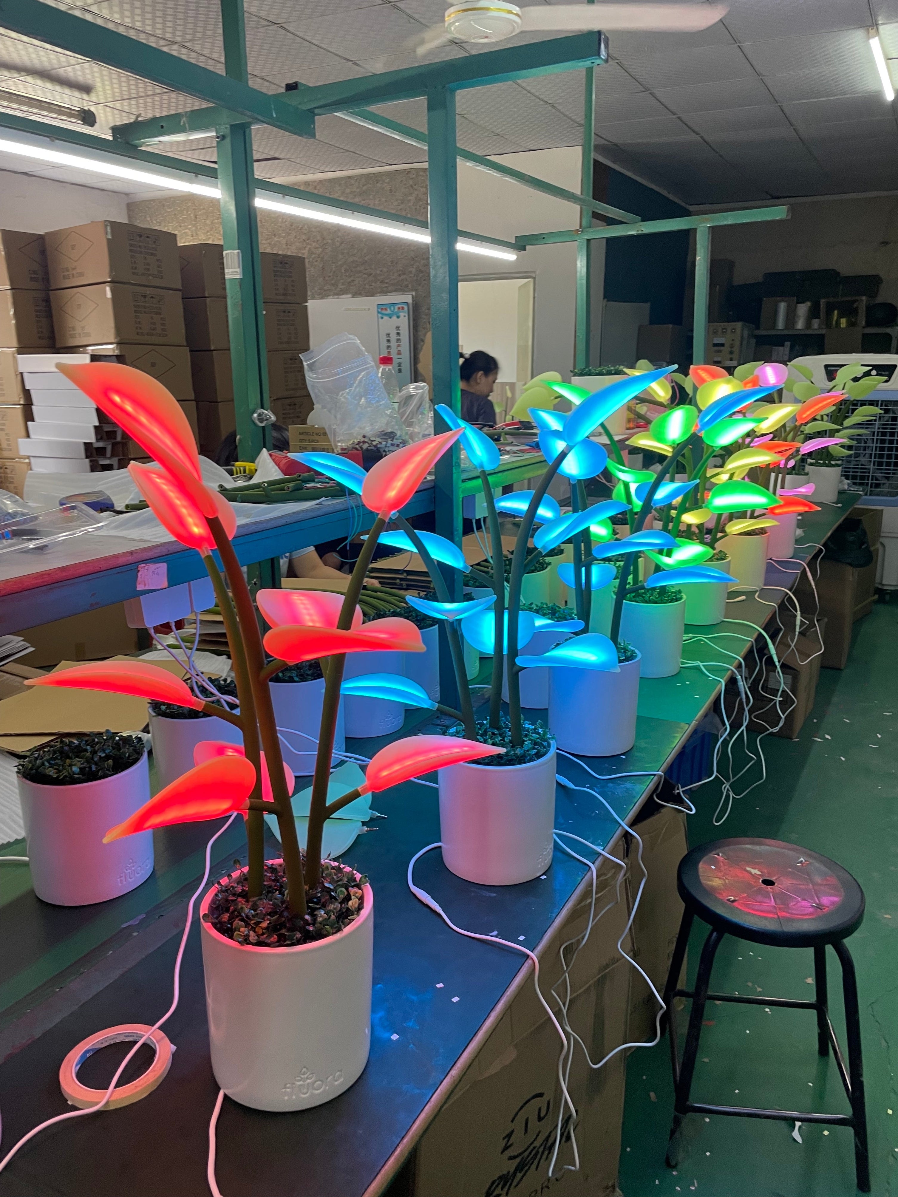 Fluora Mini Production Update | Fluora