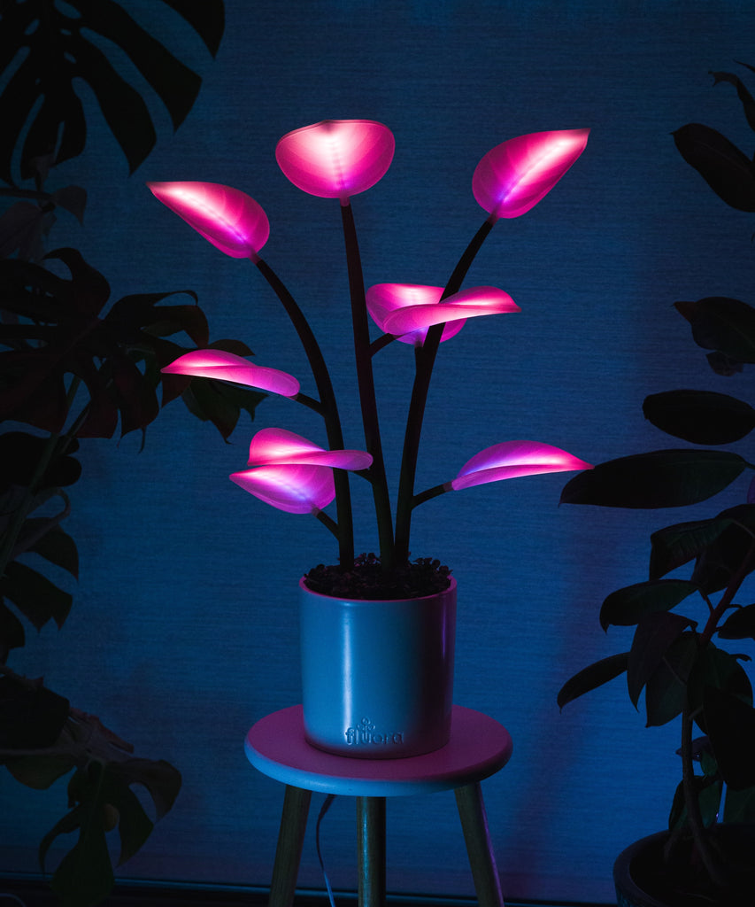 flora led house plant Fluora Mini | Dynamic Smart Light | Elevated Mood Lighting