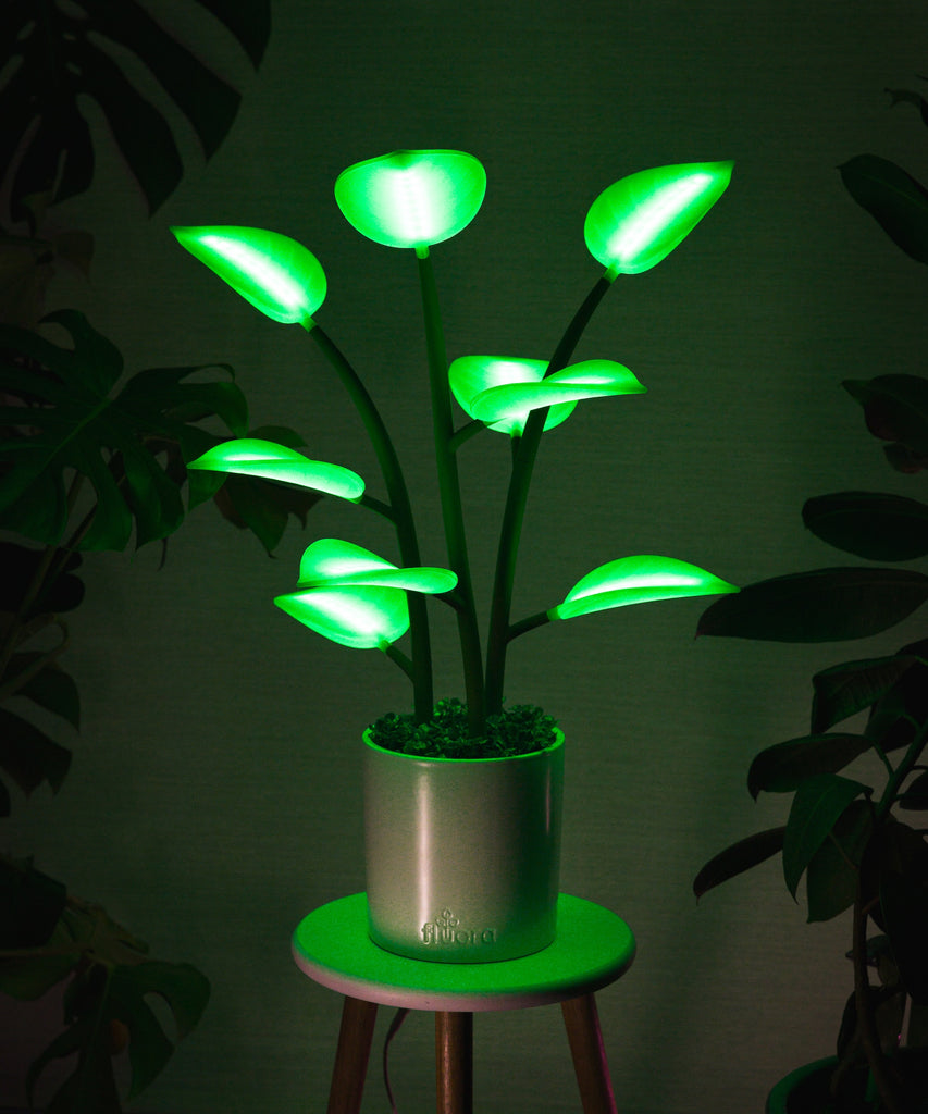 flora led house plant Fluora Mini | Dynamic Smart Light | Elevated Mood Lighting