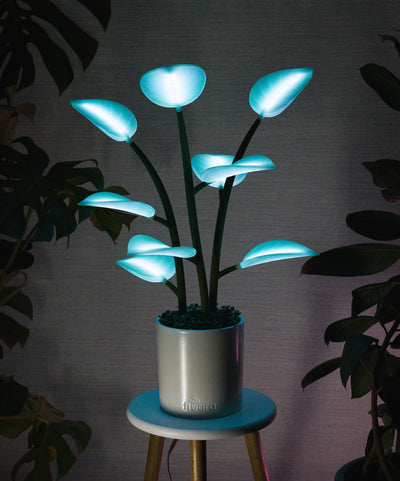 Fluora Mini | Dynamic Smart Light | Elevated Mood Lighting | Fluora
