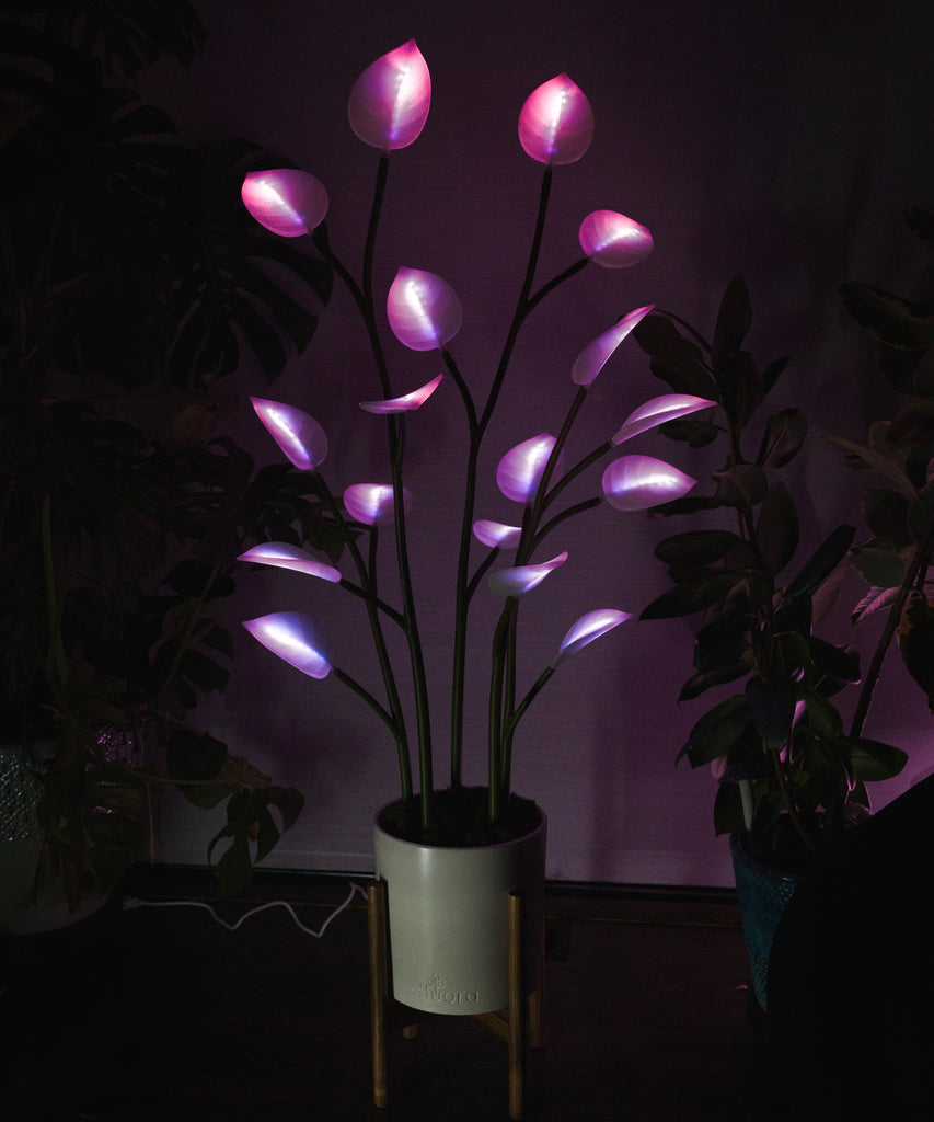 led indoor plant Fluora Floor Plant | Elevated Mood Lighting