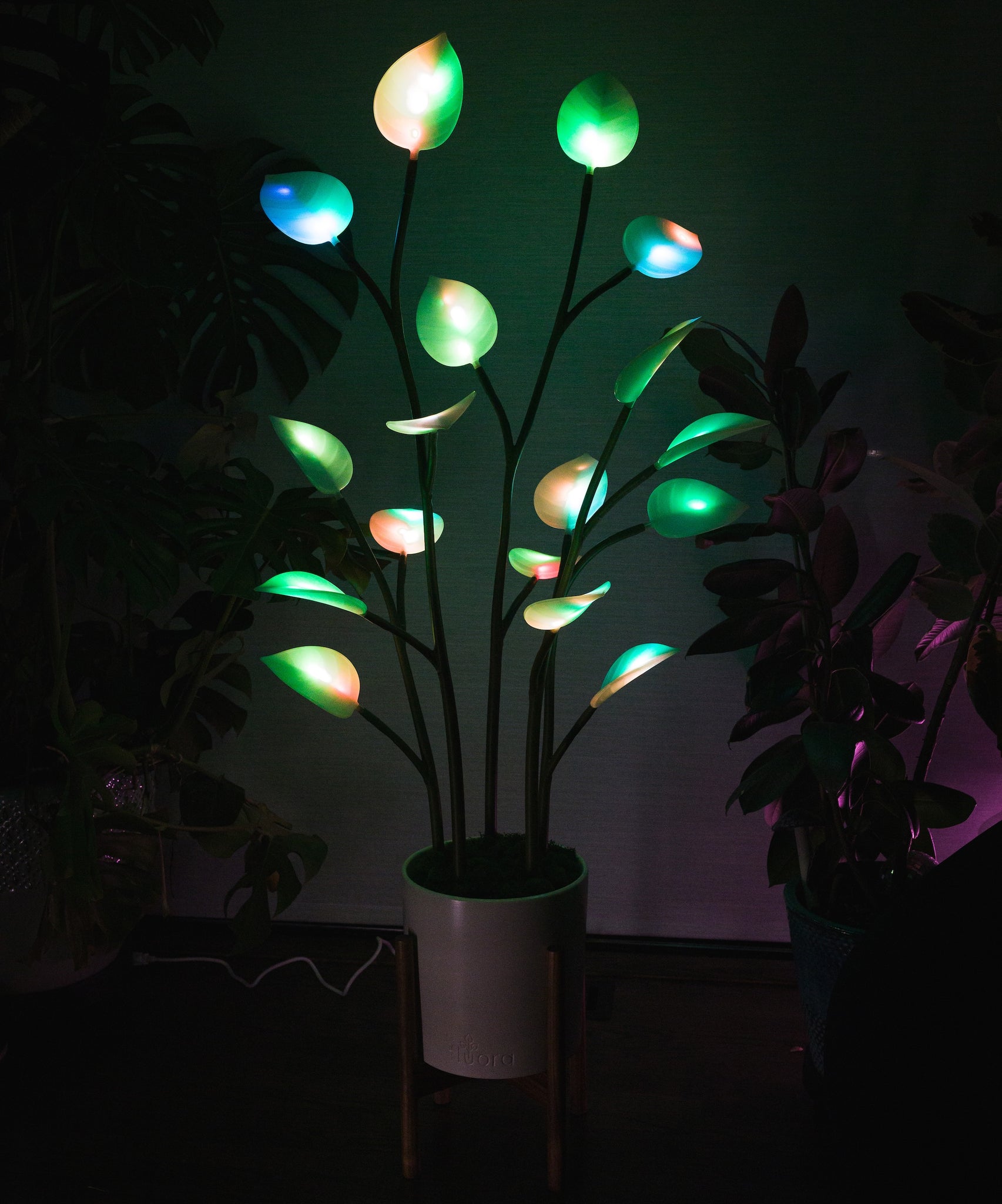 Fluora Floor Plant | Elevated Mood Lighting | Fluora