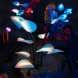 Ad_Mare_Nighttime_Close_Up_6.JPG