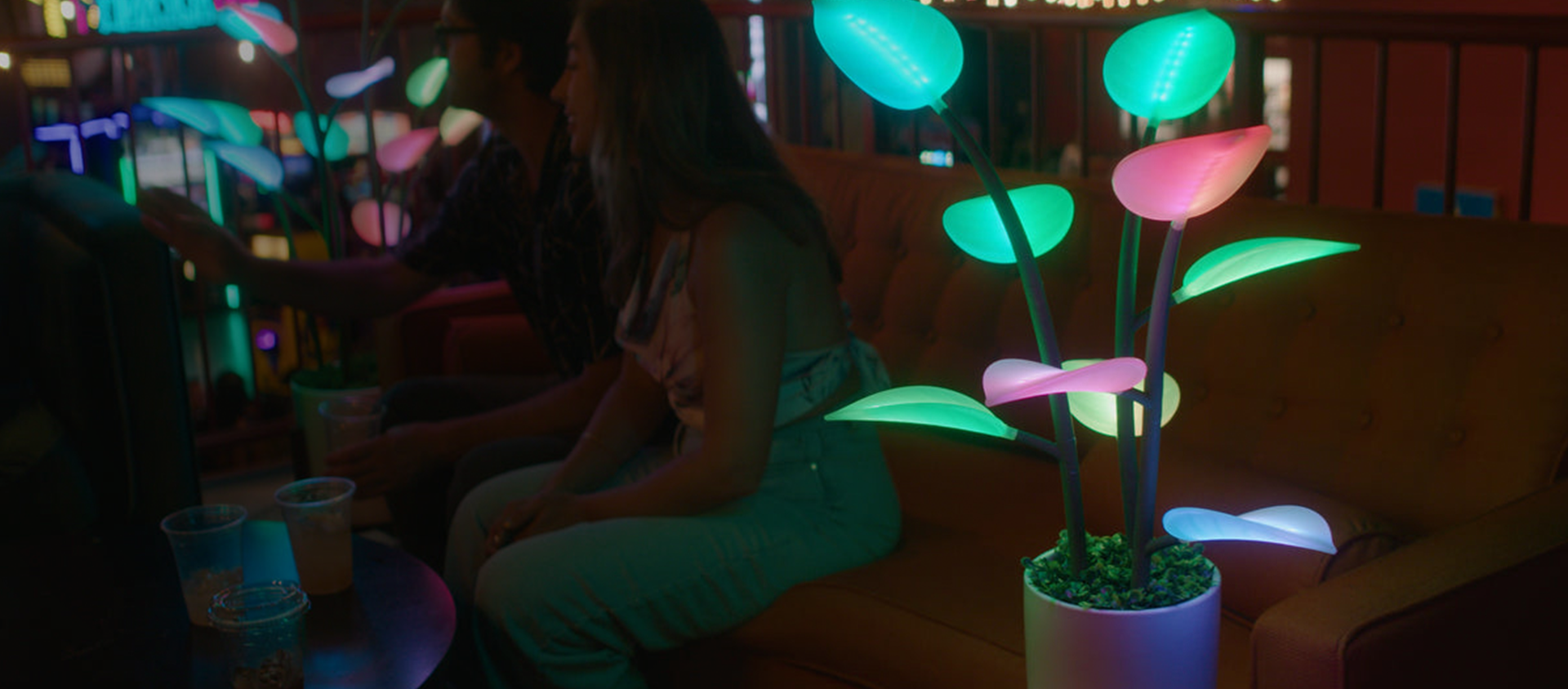 Led houseplant best sale