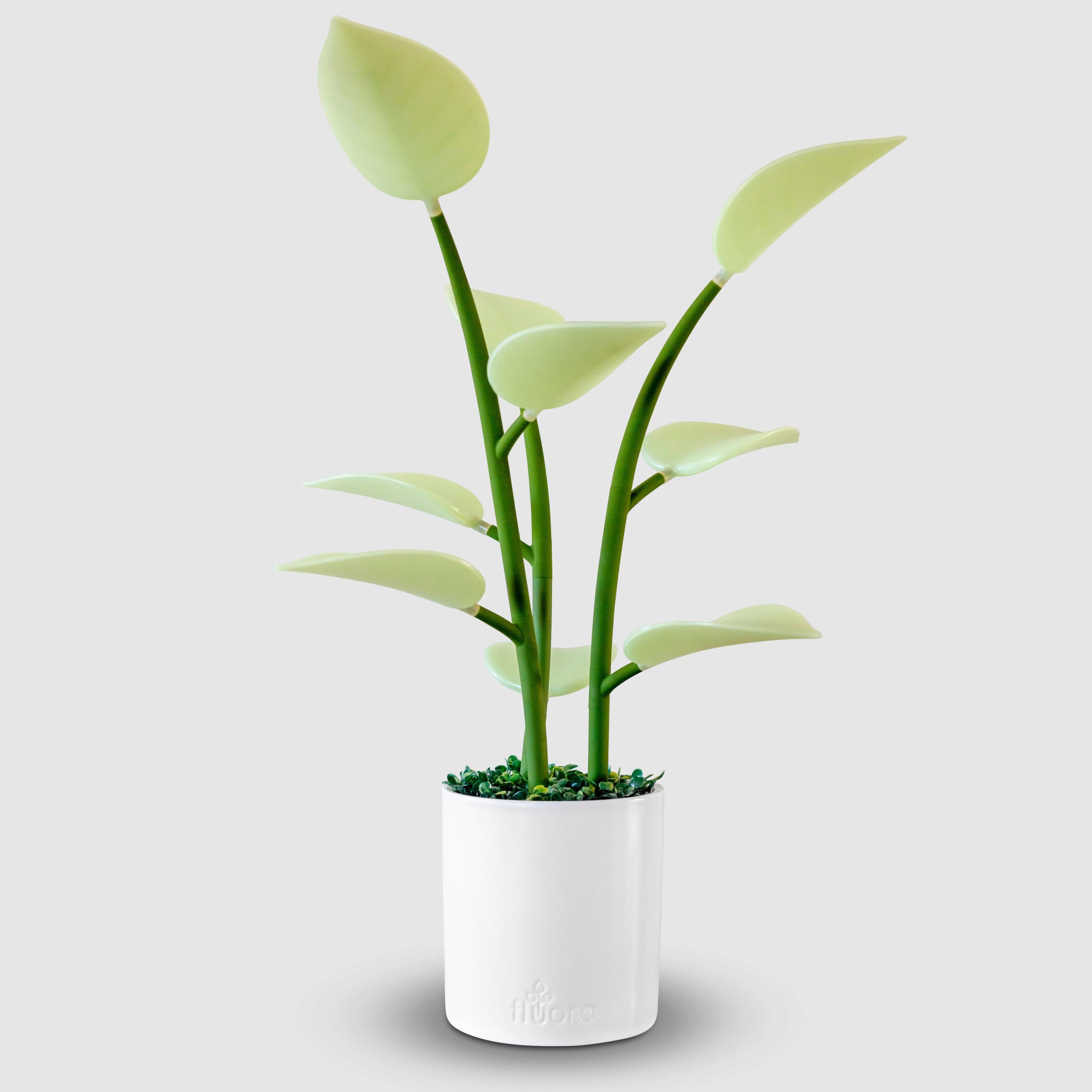 Fluora Mini | Fluora