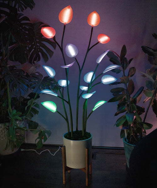 Fluora Floor Plant | Elevated Mood Lighting