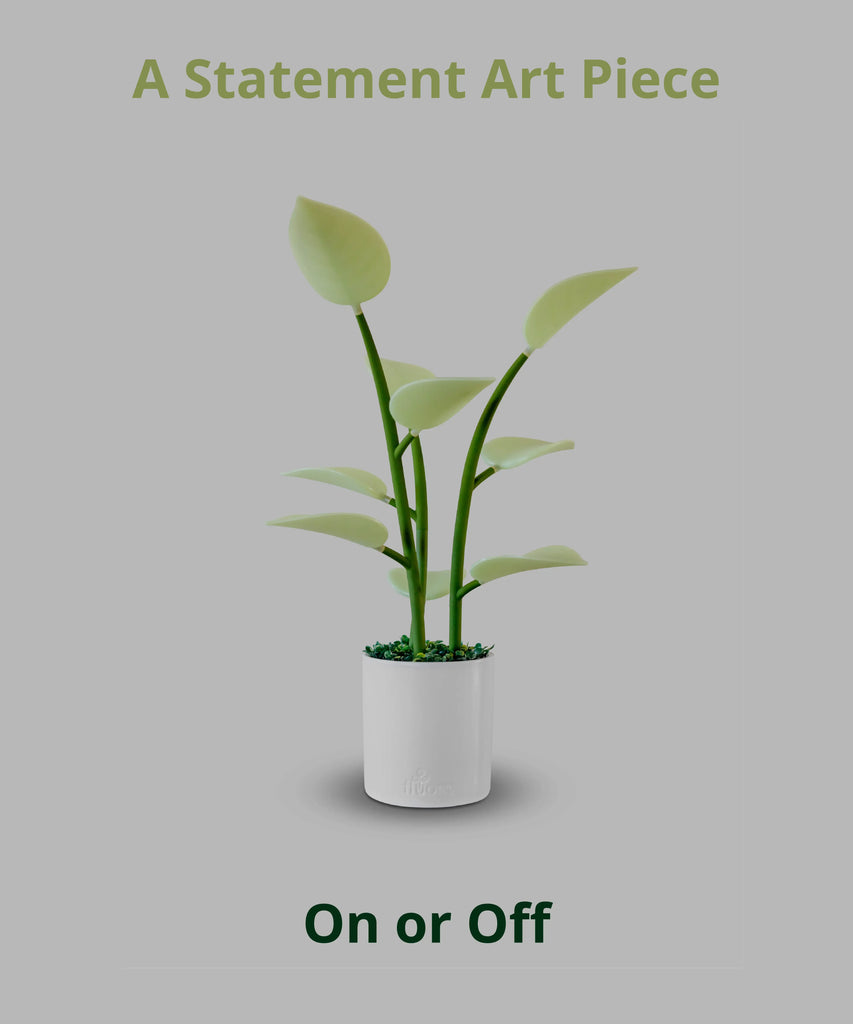 flora led house plant Fluora Mini | Dynamic Smart Light | Elevated Mood Lighting