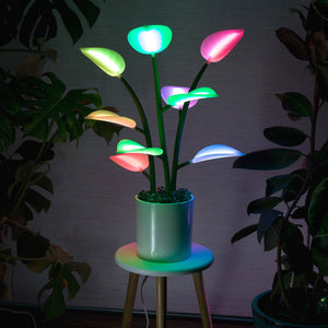 Dynamic Smart lighting that Brings your space to life. Elevated Mood Lighting in the form of a Houseplant. LED plant.