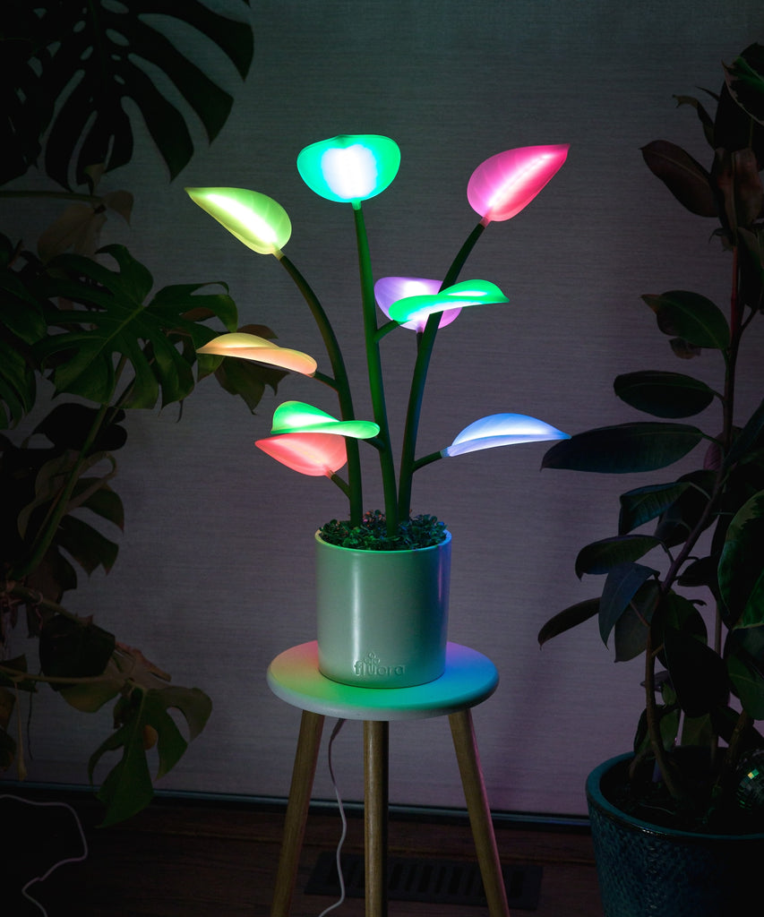 Dynamic Smart lighting that Brings your space to life. Elevated Mood Lighting in the form of a Houseplant. LED plant.