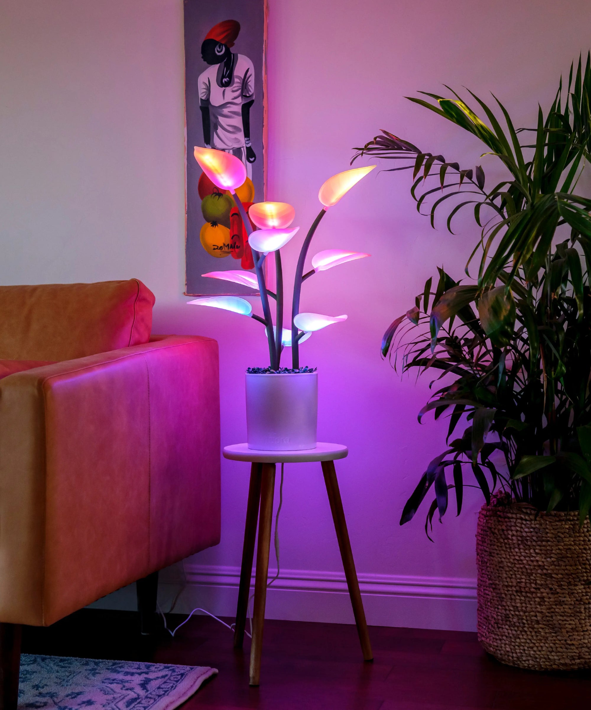 Dynamic Smart lighting that Brings your space to life. Elevated Mood Lighting in the form of a Houseplant. LED plant in a living room.