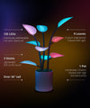 There are 135 individually addressable, full color spectrum LEDs inside each Fluora. 9 LED leaves, 3 handcrafted stems, and 1 high quality ceramic pot. 
