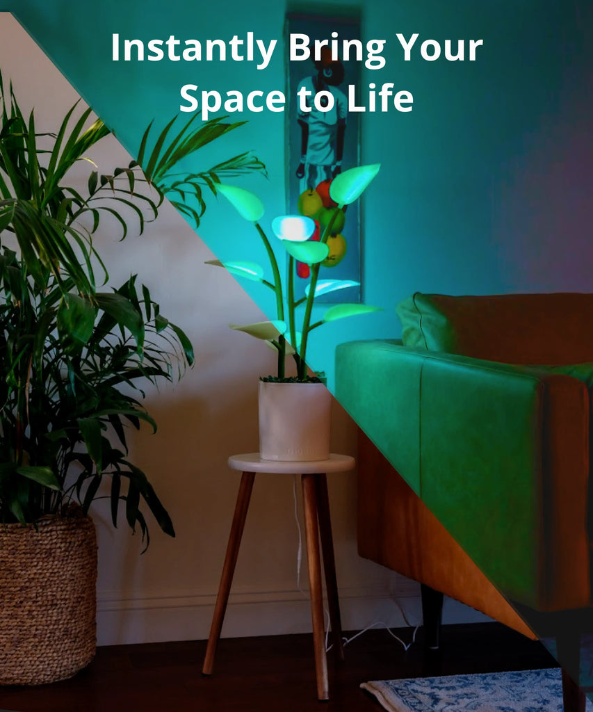 indoor plant up lighting Fluora Mini | Dynamic Smart Light | Elevated Mood Lighting