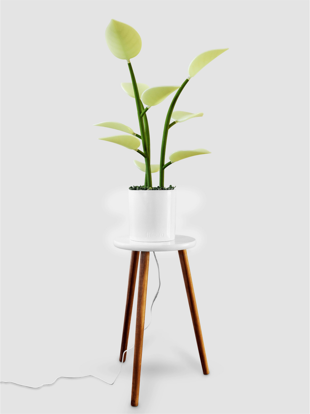 Fluora Mini | Dynamic Smart Light | Elevated Mood Lighting | Fluora